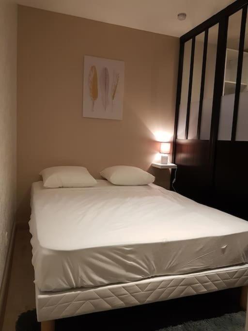 Studio Place De La Barre Le Cosy Apartment มากง ภายนอก รูปภาพ